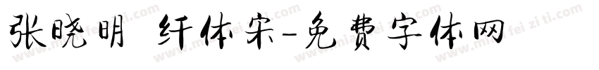 张晓明 纤体宋字体转换